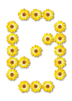 Floral alphabet, 0