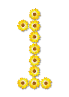 Floral alphabet, 1