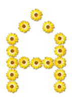 Floral alphabet, A