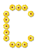 Floral alphabet, C
