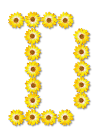 Floral alphabet, D