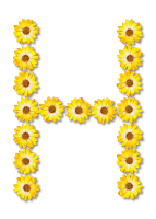 Floral alphabet, H