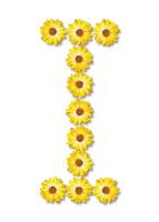 Floral alphabet, I
