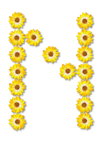 Floral alphabet, N