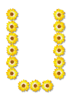Floral alphabet, U