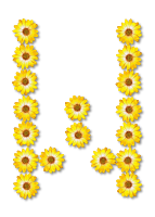 Floral alphabet, W