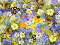 Floral background 8