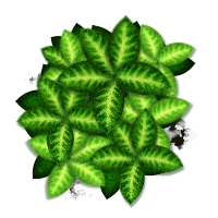 plant remix 2