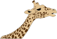 Giraffe Head