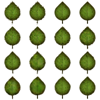 organic filter pack