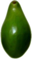 Avocado