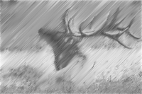 halftone deer