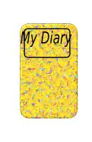 Diary 2