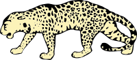 leopard