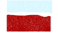 Snowy Wall
