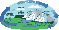 Water Cycle