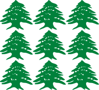cedar tiles