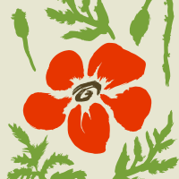 Poppy
