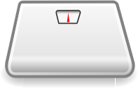 Scale icon