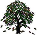 Falling Leaves 