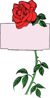 Rose Frame - Colour