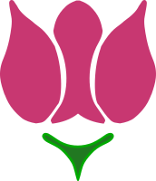 Rose - Symmetrical
