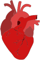 Realistic Red Heart