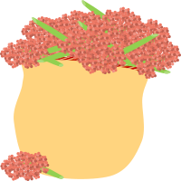 Basket of pink berries