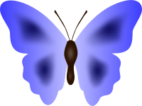 Butterfly 33