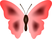 Butterfly 33 (colour 2)