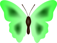 Butterfly 33 (colour 3)