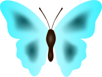 Butterfly 33 (colour 4)