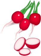 radishes