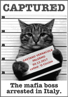 MAFIA