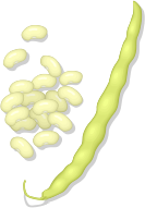 wax beans