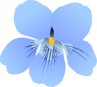 Wild violet