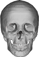 3D Low Poly Skull