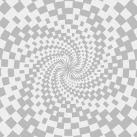 Optical Illusion 4