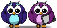 Little owl FRIENDS