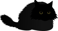 Angry cat