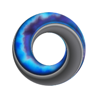 two sided ring 3