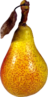 Pear 2