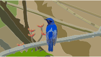 Perched Blue Bird