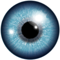 human eyeball