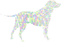Year Of The Dog 4