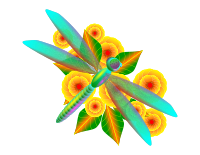 Dragonfly & Flowers