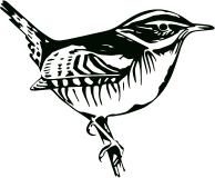 Perched Bird Silhouette
