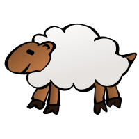 Sheep
