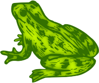 Frog 9 (colour)