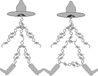 Barb and Bob Wire